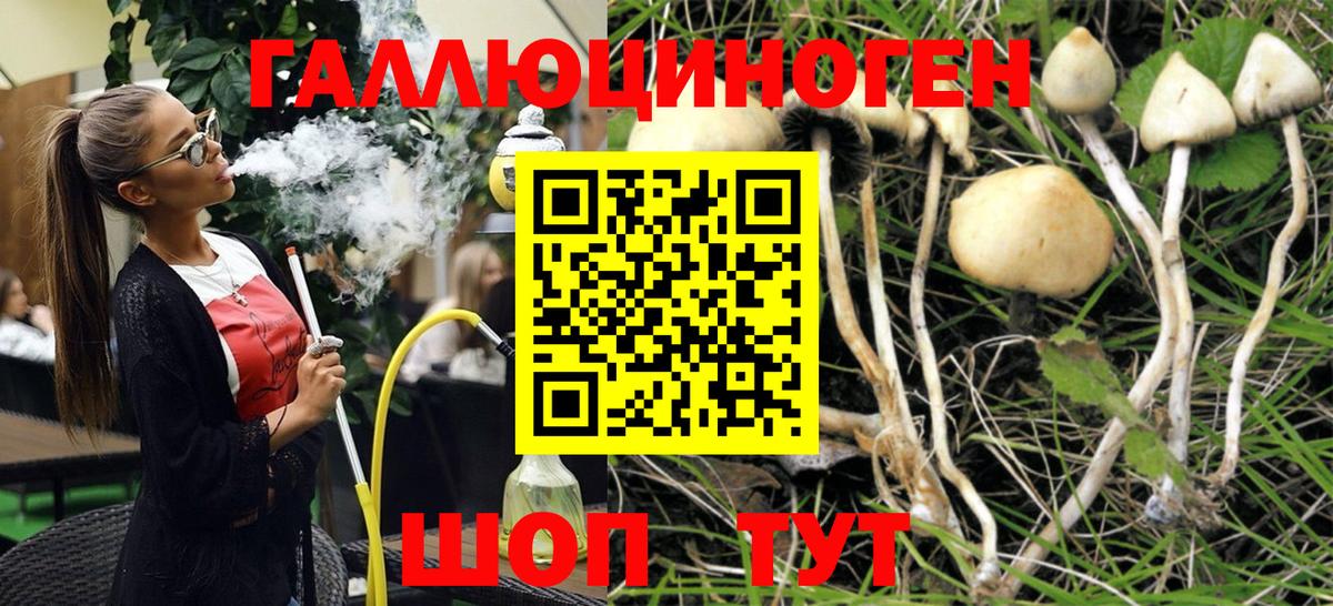 Галлюциногенные грибы Psilocybe  Псилоцибиновые грибы Psilocybine cubensis  Вход с VPN  Кыштым 