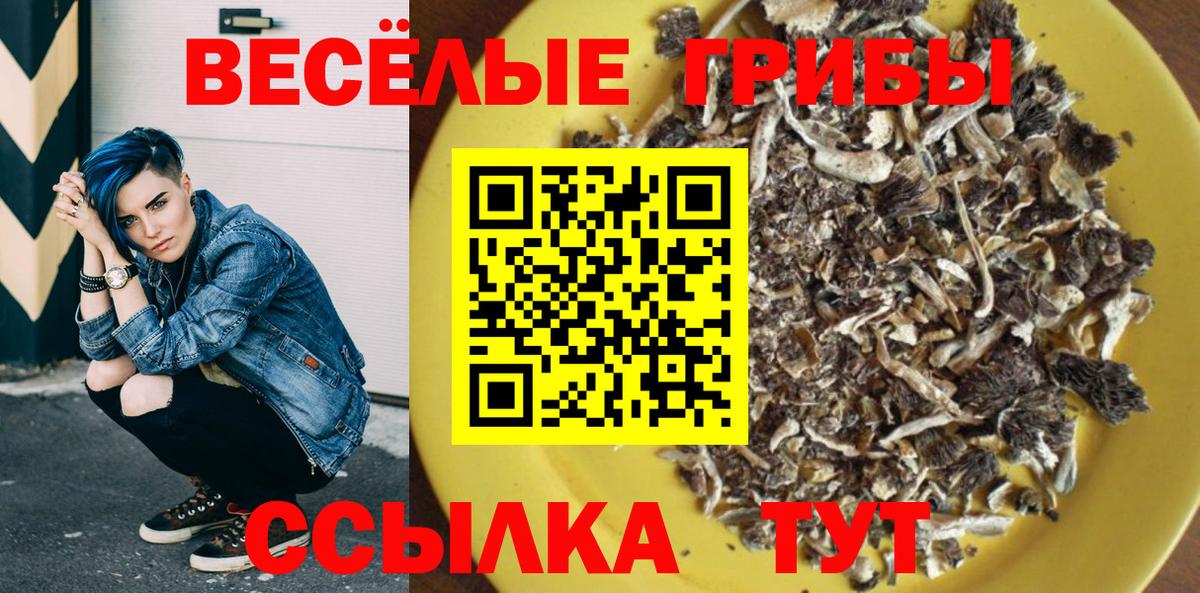 Псилоцибиновые грибы Cubensis Кыштым
